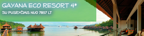kotakinabalu_gayana