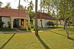 langkawi_frangipani langkawi_frangipani