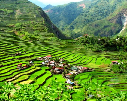 BANAUE BANAUE