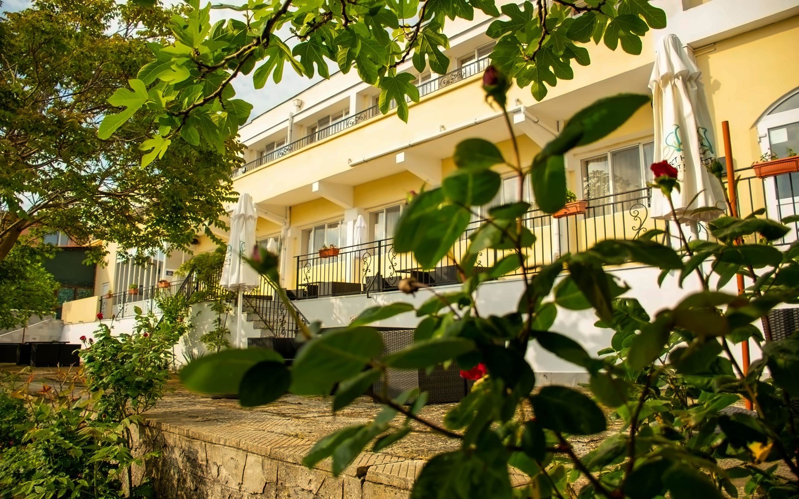 hotel